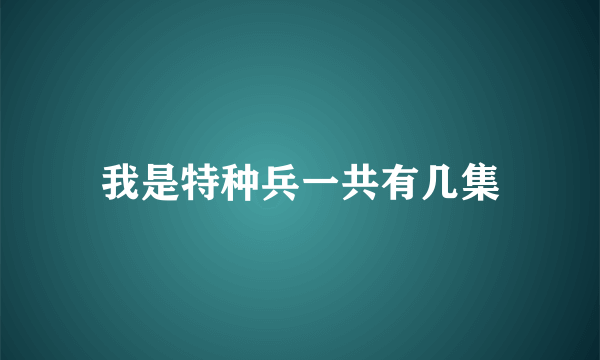 我是特种兵一共有几集