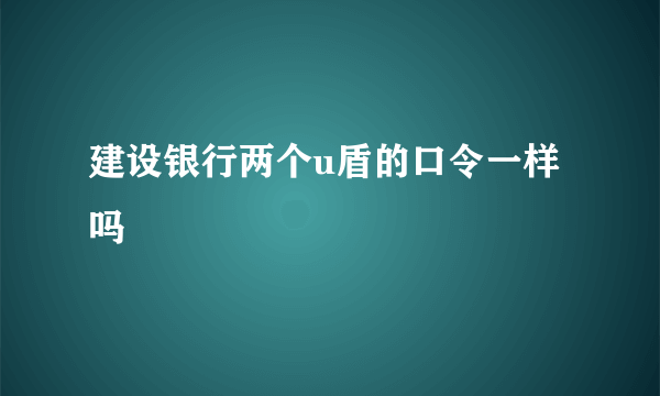 建设银行两个u盾的口令一样吗