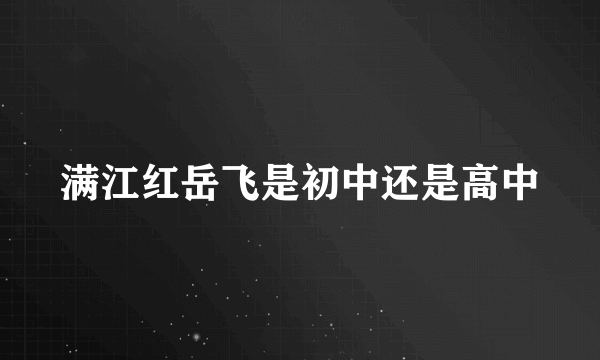 满江红岳飞是初中还是高中