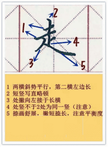 走字的偏旁是什么？