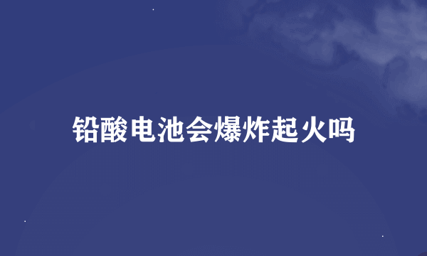 铅酸电池会爆炸起火吗