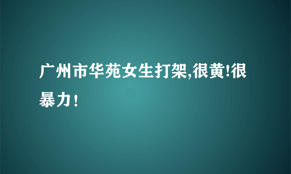 广州市华苑女生打架,很黄!很暴力！