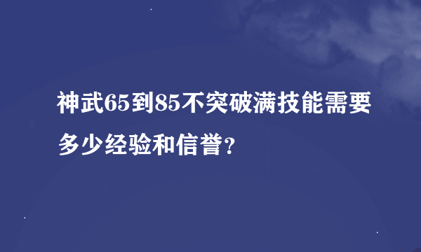 神武65到85不突破满技能需要多少经验和信誉？