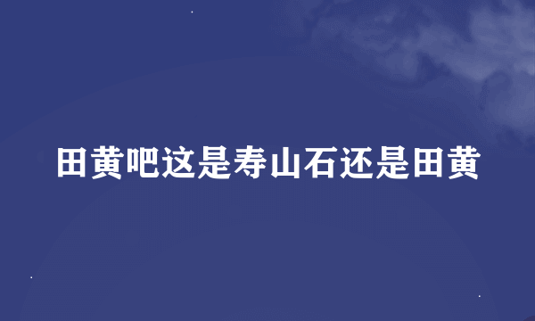 田黄吧这是寿山石还是田黄