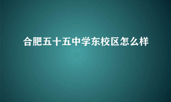 合肥五十五中学东校区怎么样