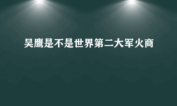 吴鹰是不是世界第二大军火商