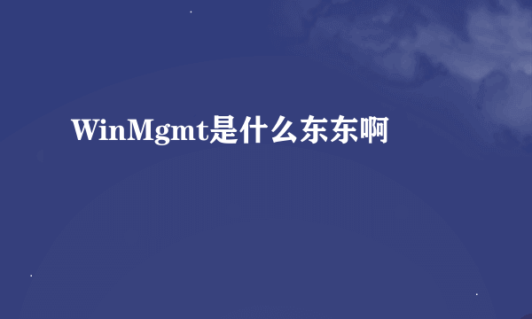 WinMgmt是什么东东啊