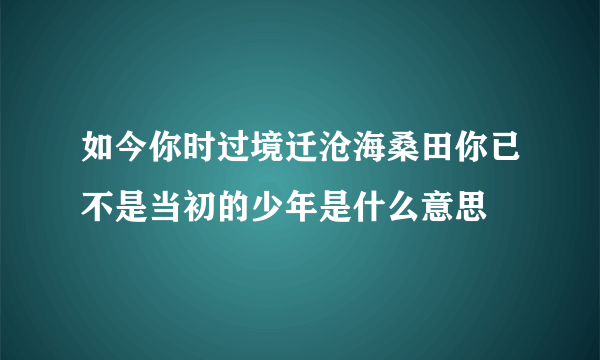 如今你时过境迁沧海桑田你已不是当初的少年是什么意思