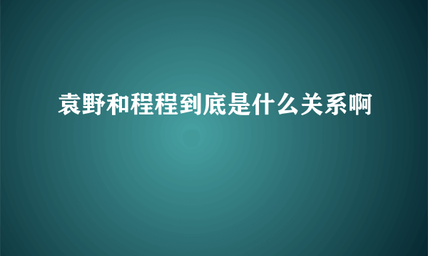 袁野和程程到底是什么关系啊