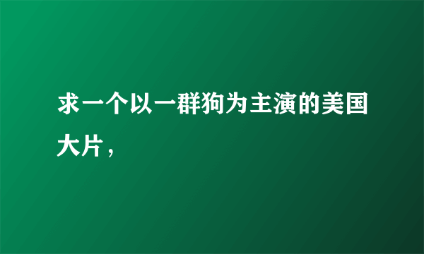 求一个以一群狗为主演的美国大片，