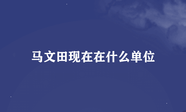 马文田现在在什么单位