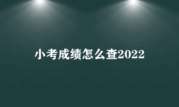 小考成绩怎么查2022