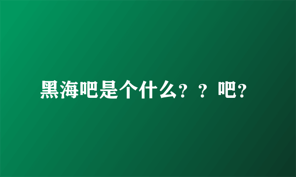 黑海吧是个什么？？吧？