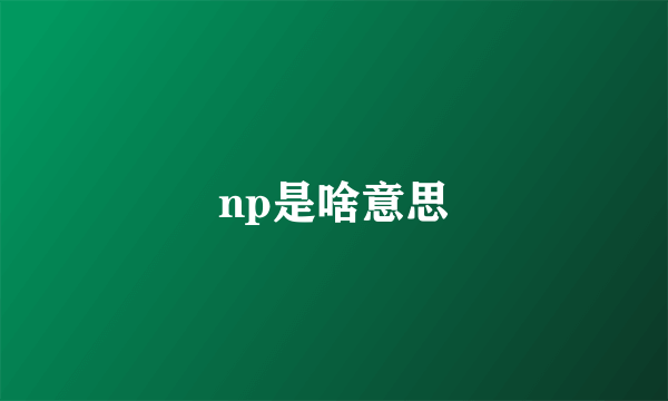 np是啥意思