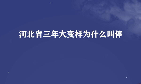 河北省三年大变样为什么叫停