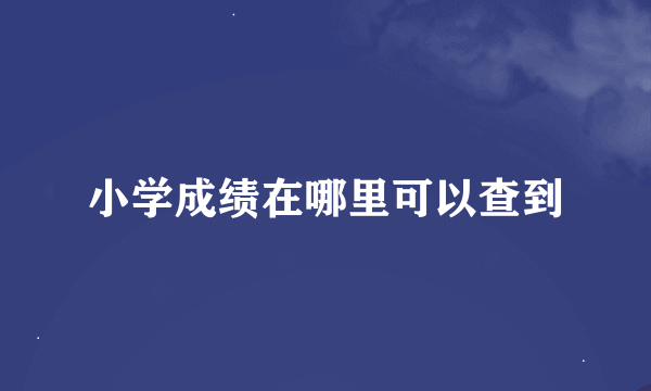 小学成绩在哪里可以查到