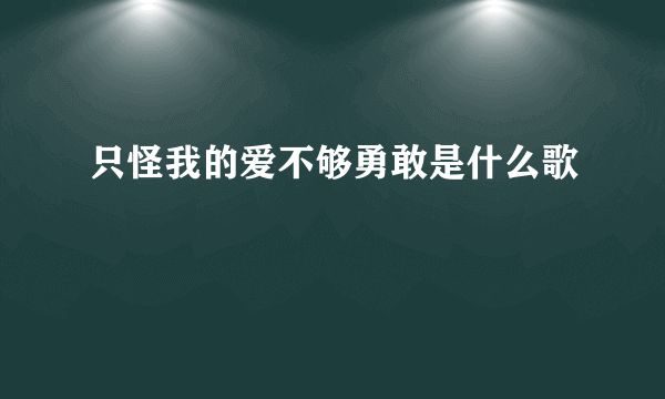 只怪我的爱不够勇敢是什么歌