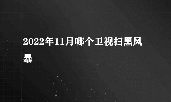 2022年11月哪个卫视扫黑风暴