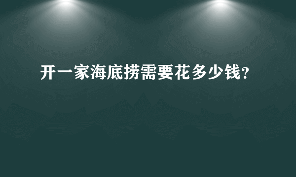 开一家海底捞需要花多少钱？