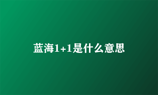 蓝海1+1是什么意思