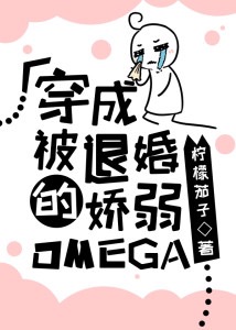 《穿成被退婚的娇弱omega》txt下载在线阅读全文，求百度网盘云资源