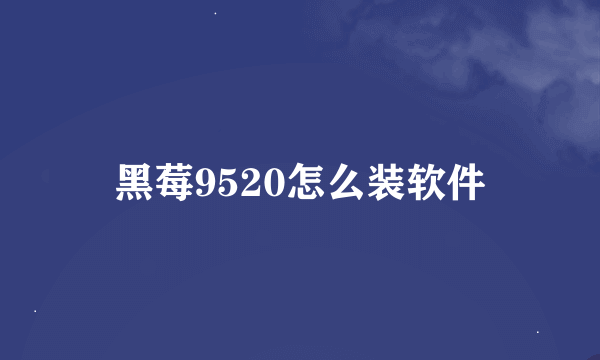 黑莓9520怎么装软件