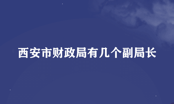 西安市财政局有几个副局长