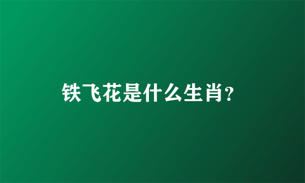 铁飞花是什么生肖？