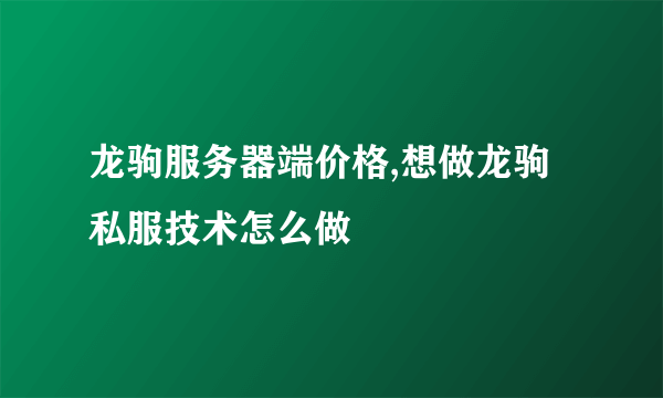 龙驹服务器端价格,想做龙驹私服技术怎么做