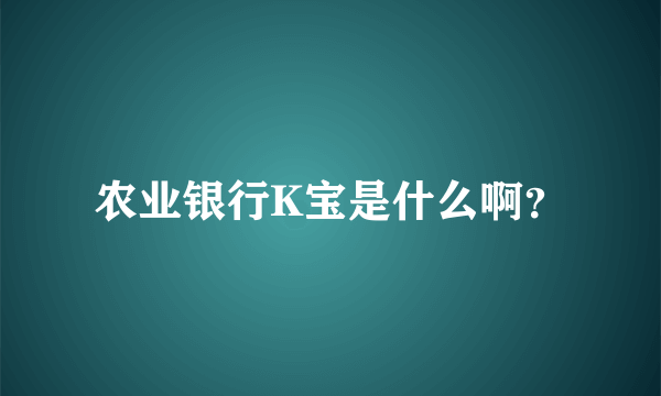 农业银行K宝是什么啊？