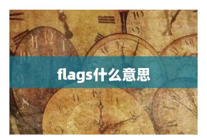 flags是什么意思