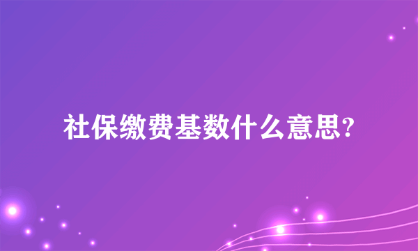 社保缴费基数什么意思?