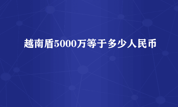 越南盾5000万等于多少人民币