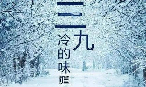 1月8日是什么节日