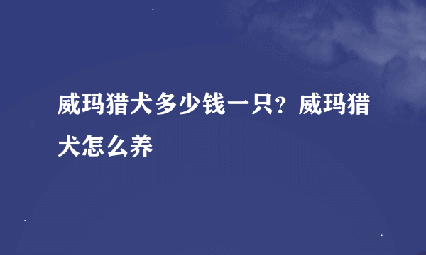 威玛猎犬多少钱一只？威玛猎犬怎么养