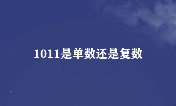 1011是单数还是复数