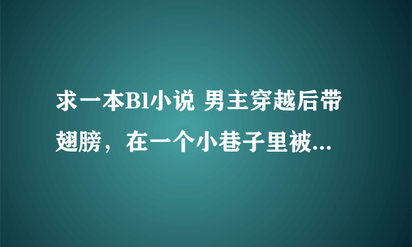 求一本Bl小说 男主穿越后带翅膀，在一个小巷子里被发现，然后好像被送到了医院。。。。。。 攻把受