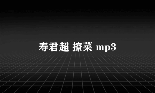 寿君超 撩菜 mp3