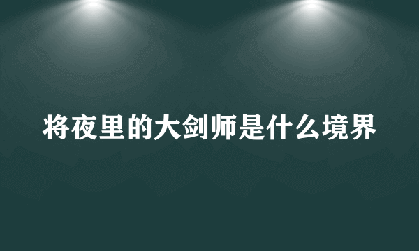 将夜里的大剑师是什么境界