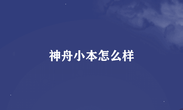 神舟小本怎么样