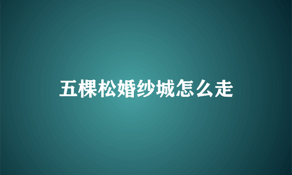 五棵松婚纱城怎么走