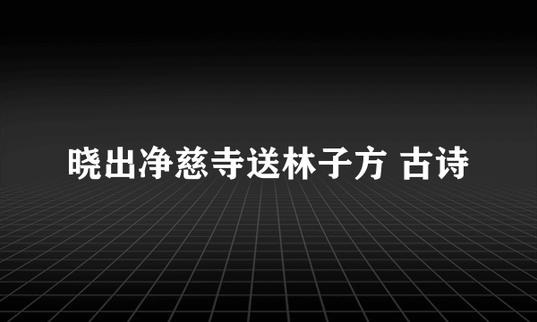 晓出净慈寺送林子方 古诗