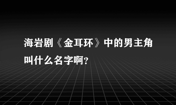 海岩剧《金耳环》中的男主角叫什么名字啊？