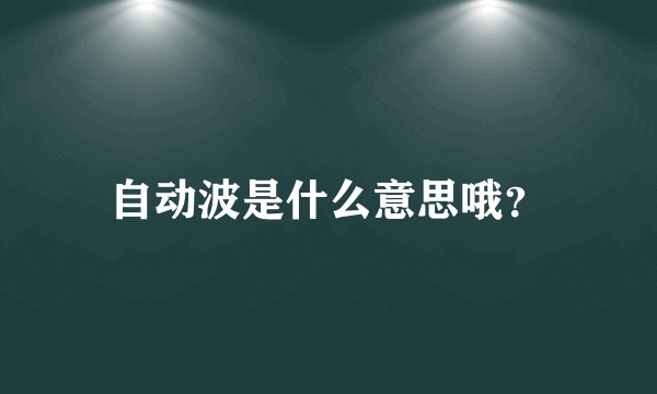 自动波是什么意思哦？