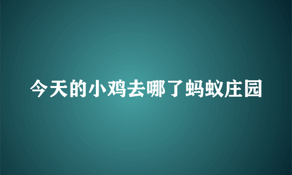 今天的小鸡去哪了蚂蚁庄园