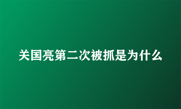 关国亮第二次被抓是为什么