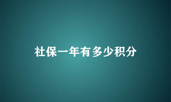 社保一年有多少积分