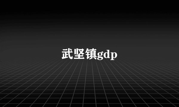 武坚镇gdp