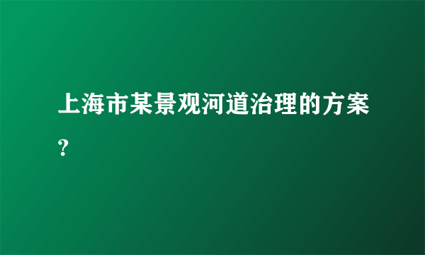 上海市某景观河道治理的方案？