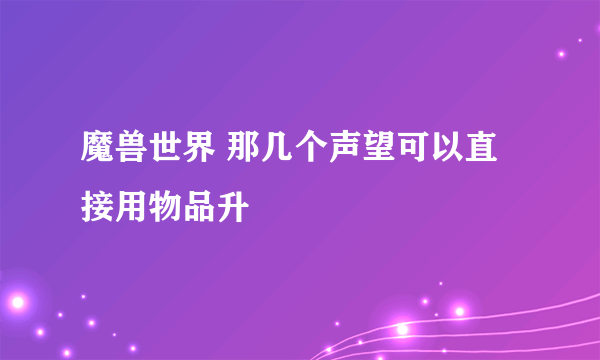 魔兽世界 那几个声望可以直接用物品升